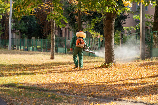 Best Residential Pest Control  in USA